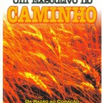 Um Executivo no Caminho.0.2